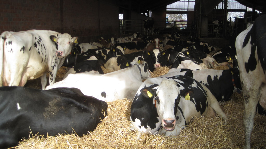 Unsere Patientengalerie - Tierarztpraxis Thedinghausen - Dr. E. Böse ...