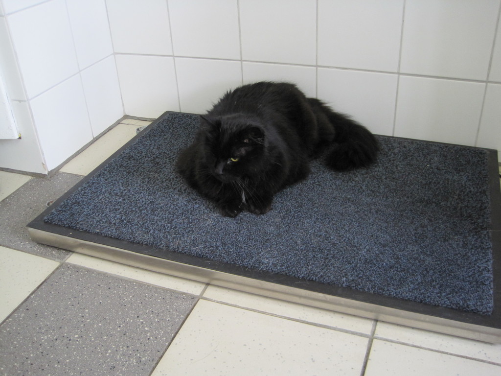 Unsere Patientengalerie - Tierarztpraxis Thedinghausen - Dr. E. Böse ...