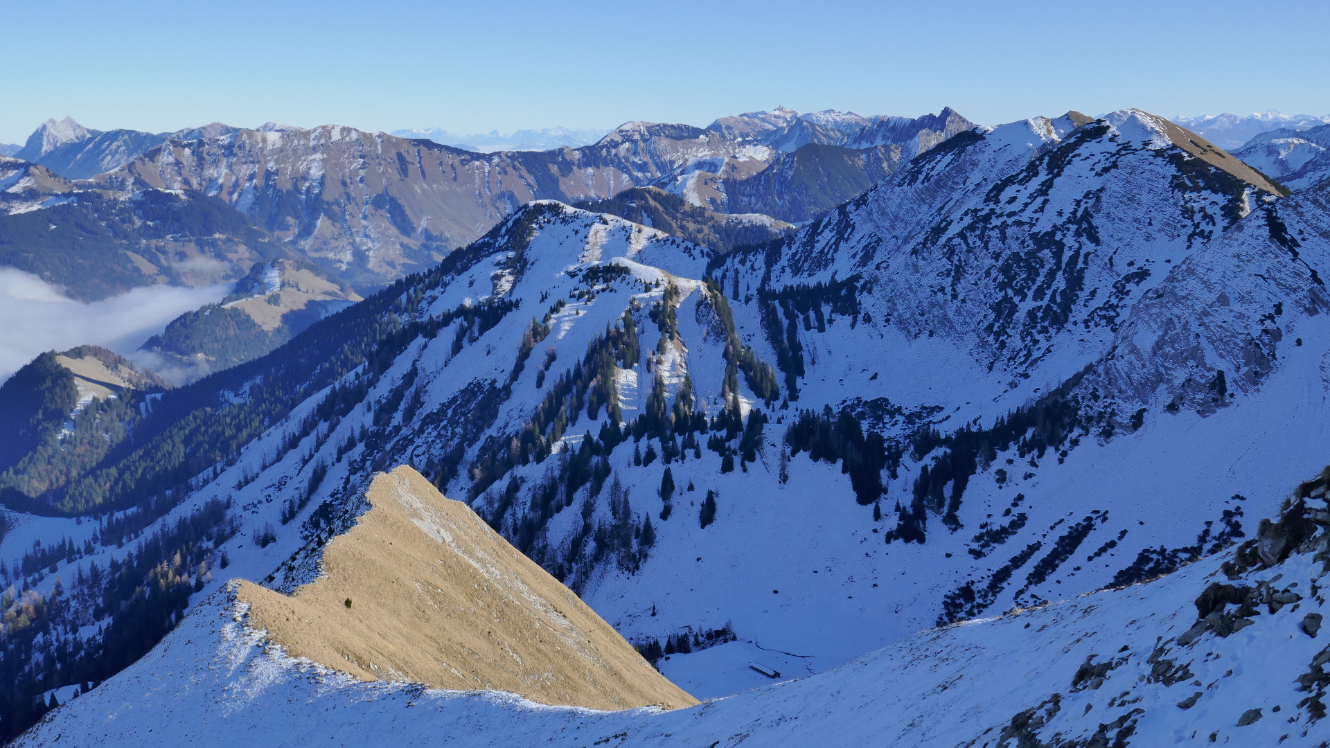 Nordseite des Grasbergkamms