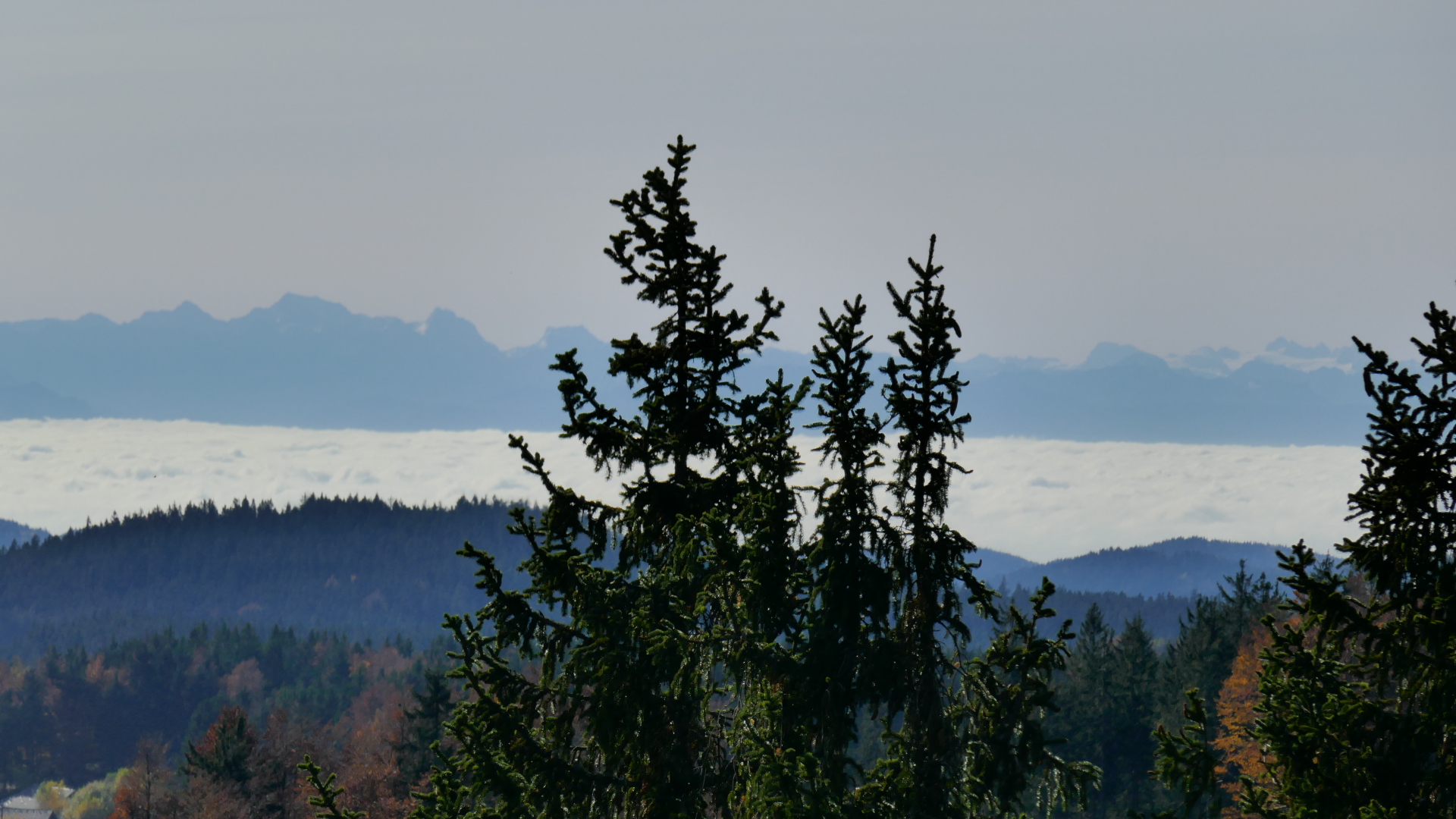 Gr. Priel links vom Baum, Hoher Dachstein ganz rechts