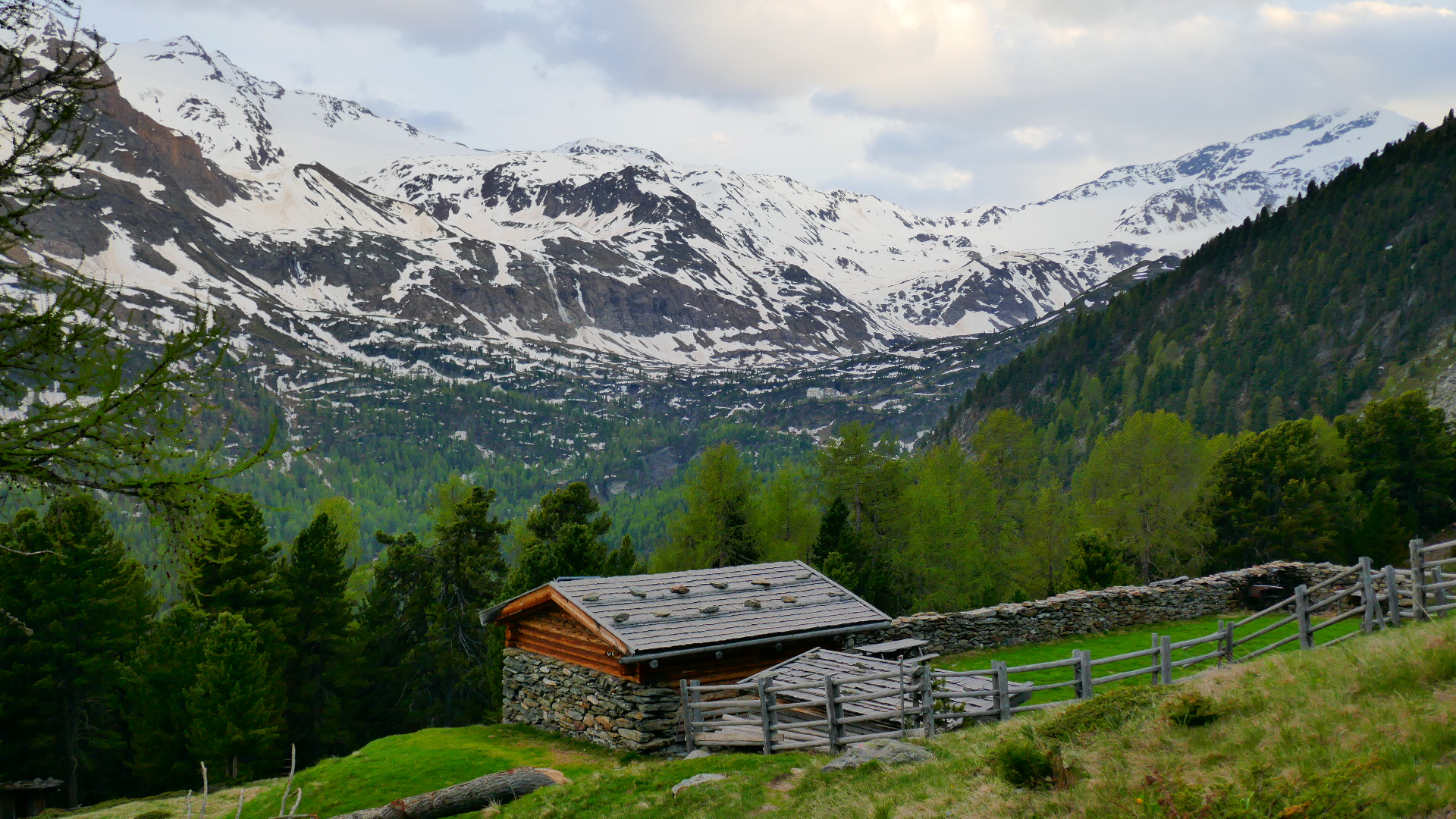 Peder-Stieralm 2.236m