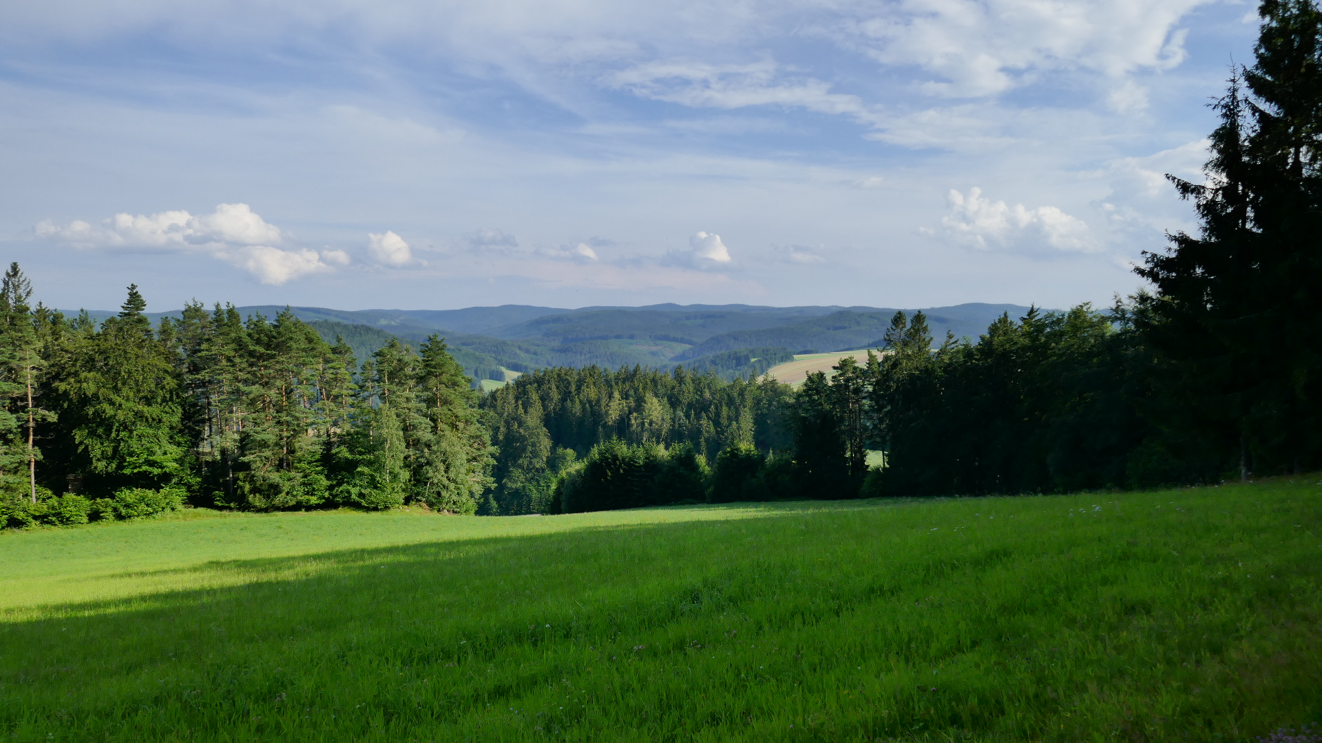 Südwärts der Weinsberger Wald, u.a. die Gegend um die Glücksmauer (für Tourenlink klicken)