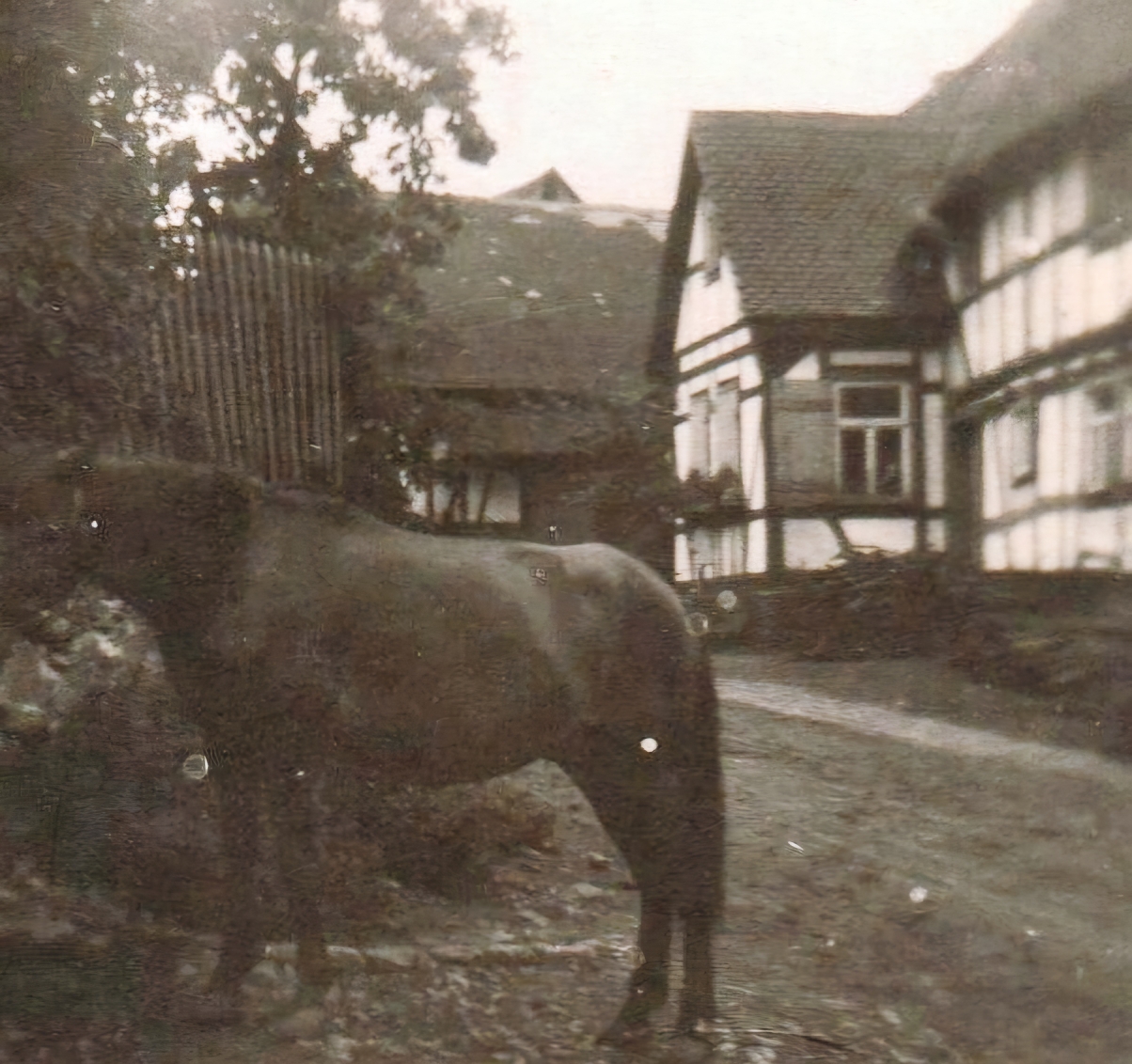 um 1940 / Am Höhenblick 37