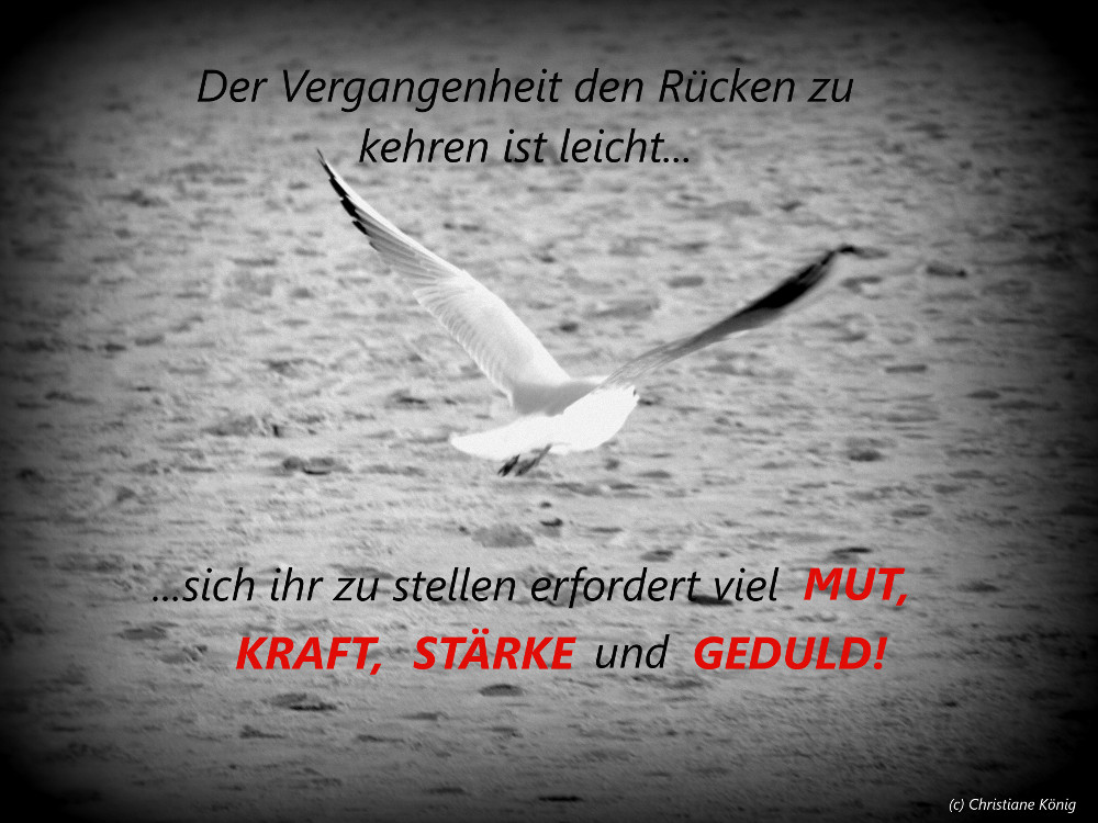 sextreffen gelsenkirchen sextreffen hildesheim sextreffen gelsenkirchen sextreffen hildesheim