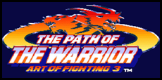 Art of Fighting 3 Guide