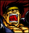 Gaira