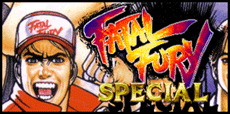 Fatal Fury Special Guide
