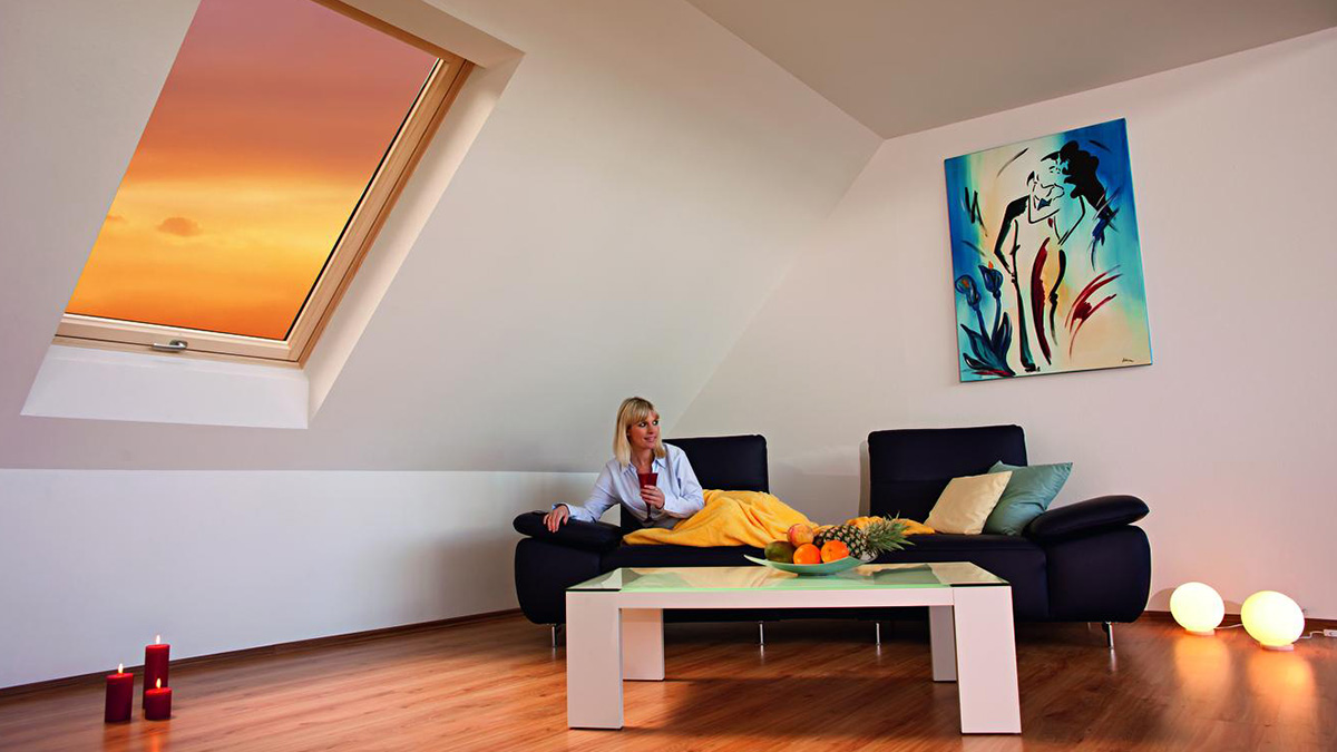 Dachfenster Haustüren, Wohnungseingangstüren