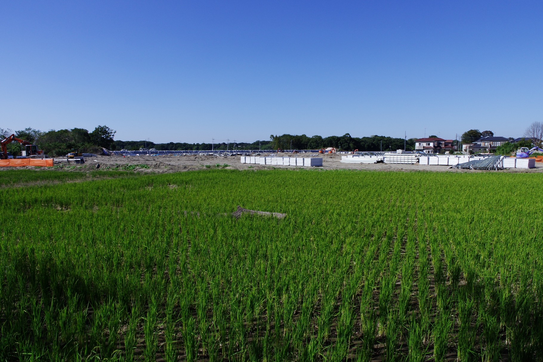 東側からの遠景