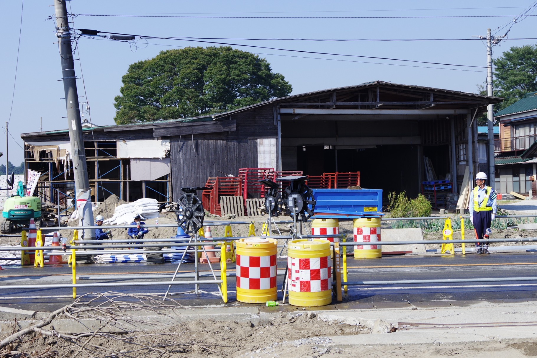 赤い腰壁の建物の東側、奥は堤防基部のケヤキの大木