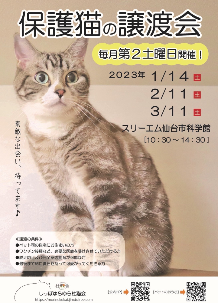 夜の4コマ部屋】2022年スタート / サチコと神ねこ様 第1679回