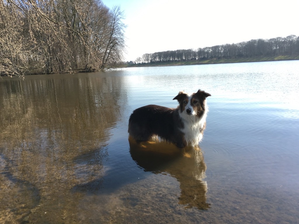 Spaziergang um den Werdersee