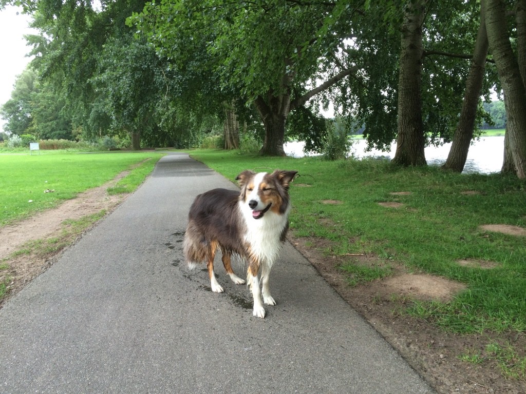 Spaziergang um den Werdersee.