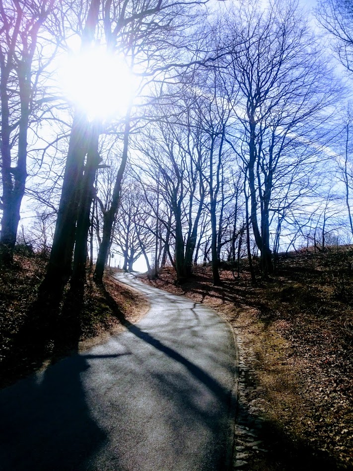 Hamburg; Rennrad; Norwid; Harburger Berge; Rosengarten;