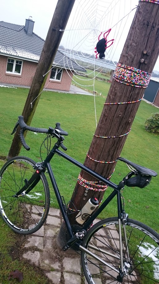 Riesenmonsterspinnen - zum Glück schockgefrostet!