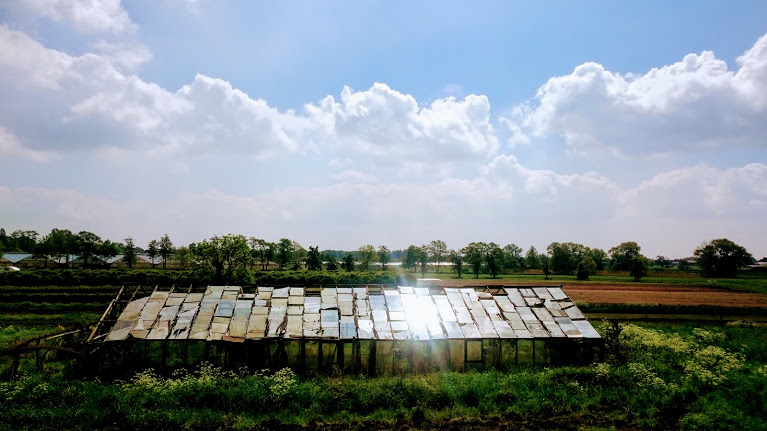 Die Sonne scheint in Tatenberg.