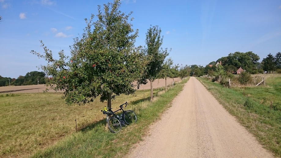 Norwid, Rennrad, Radtour, Elbe, Hamburg,