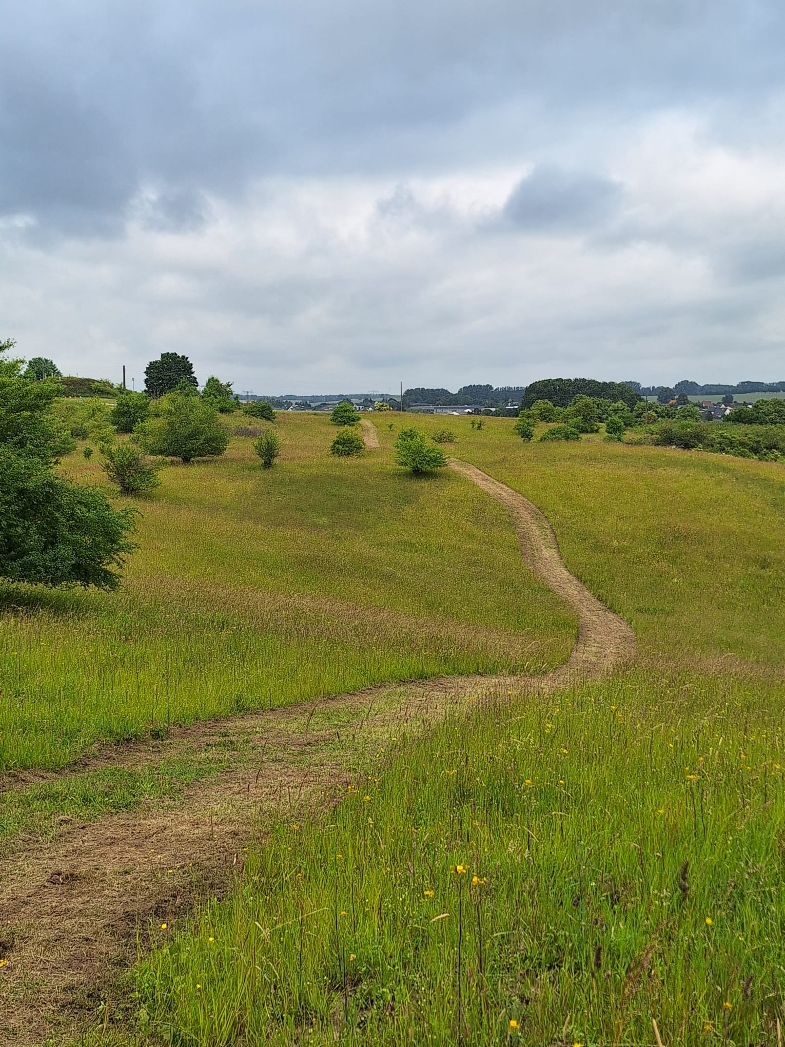 Crosslauf Strecke