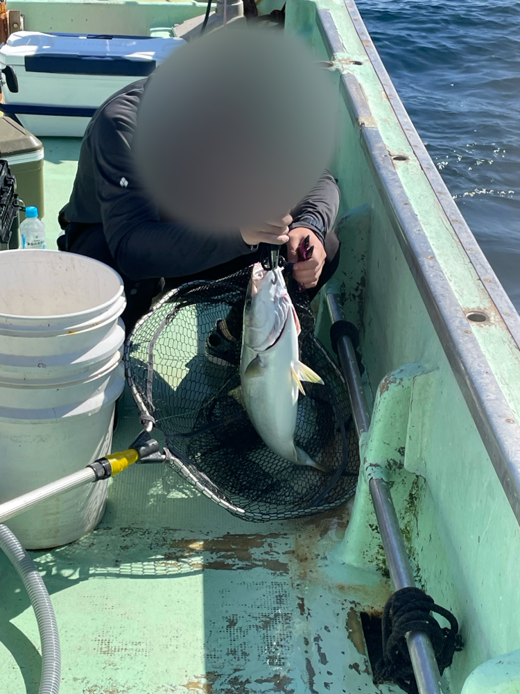 ☆光栄丸☆ Amazon | プロマリン 円錐ウキ サイト タイプVIII(カン付