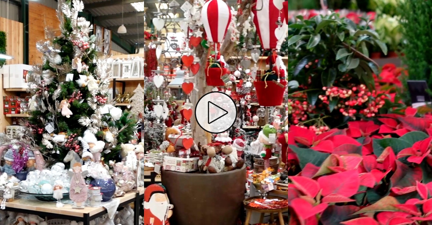 Reels navideños en Lalyflor Garden Center