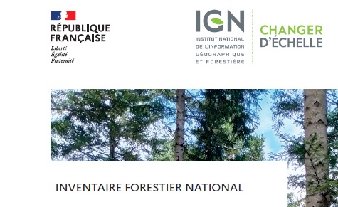 Comment vont les forêts françaises en 2023?