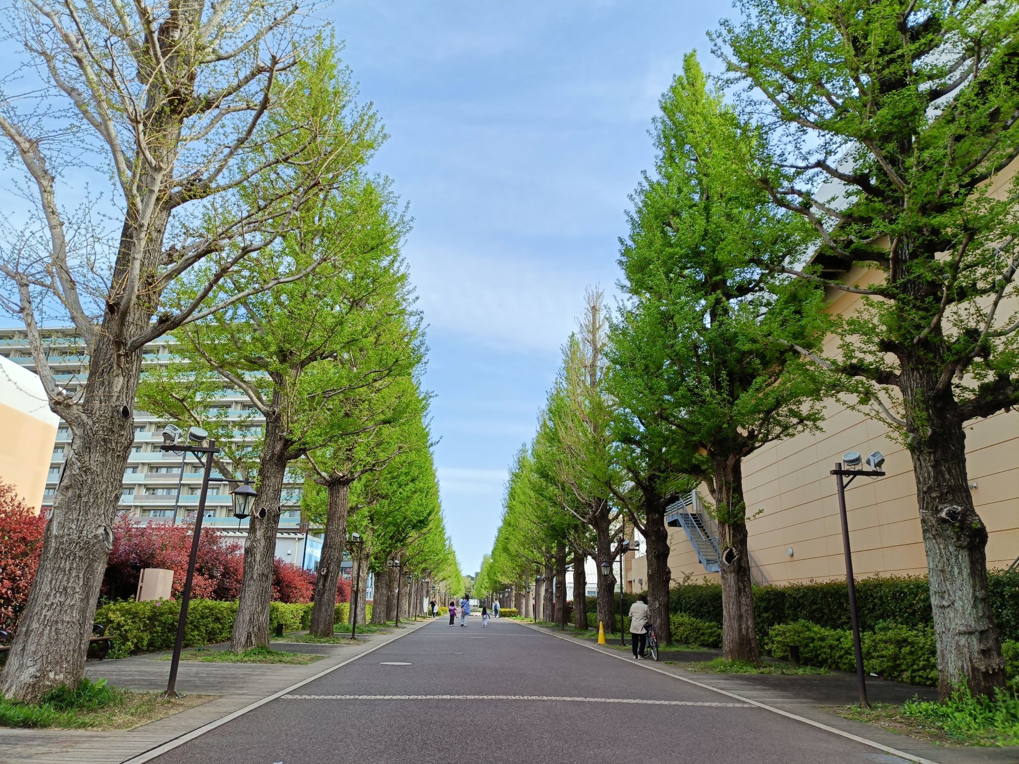 ウォーキングへのお問い合わせ…