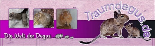 TraumDegu.de