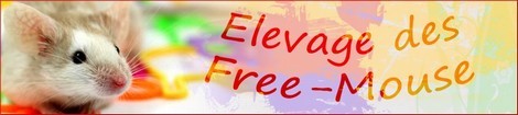 Élevage des Free-Mouse