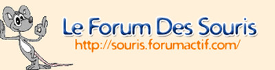 Le Forum Des Souris
