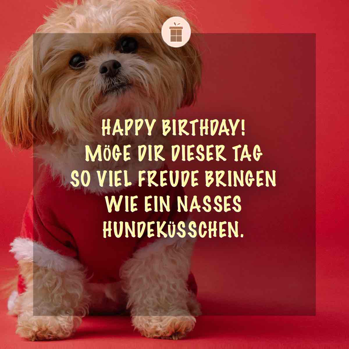 Geburtstag Hund Sprüche