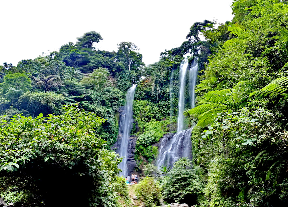 Reisterrassen & Wasserfall Tour Bali