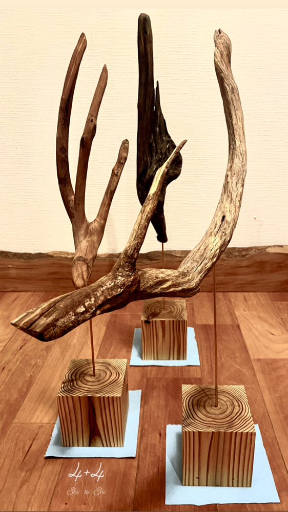 D-series / driftwood stand