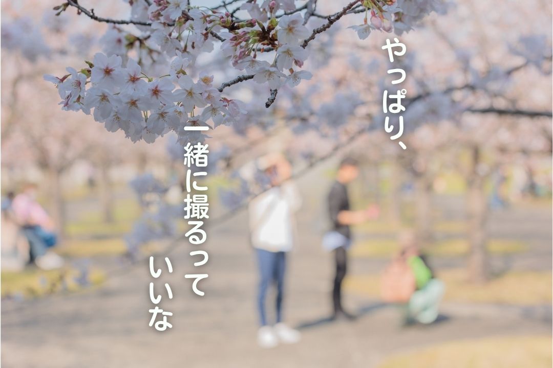 この日だ、よし！桜を撮りに行こう　フォト散歩レポート