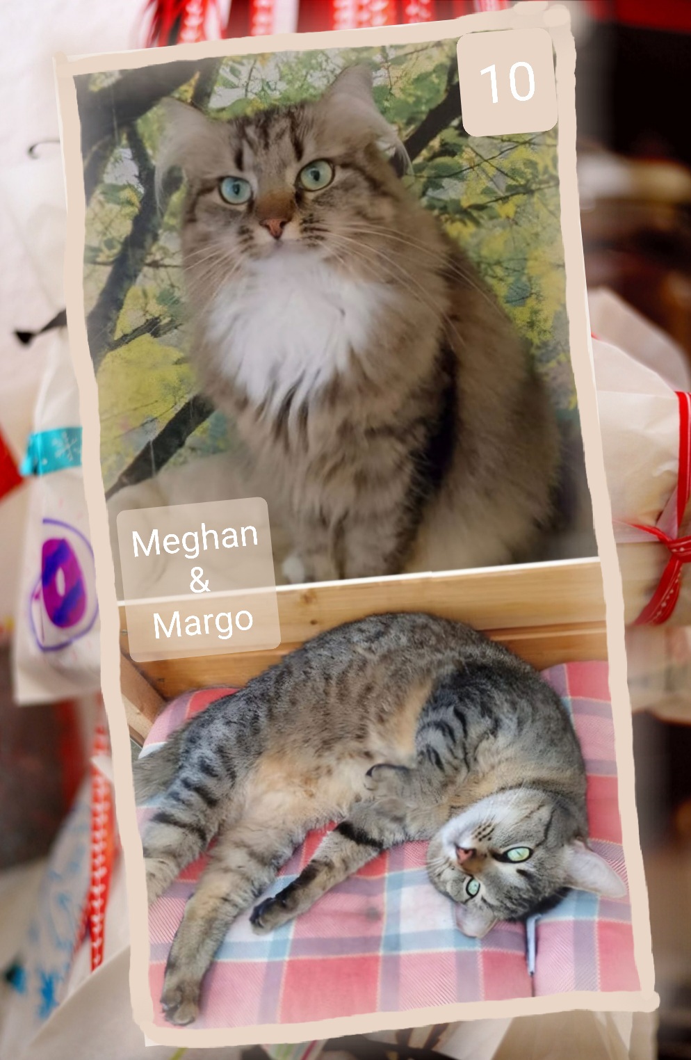 ⭐ 10. Reserviert Margo u. Meghan