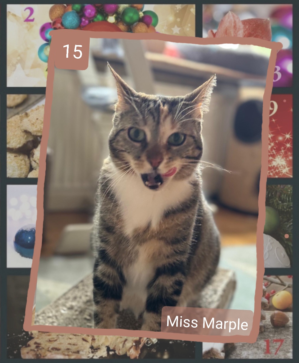 ⭐ 15. Miss Marple (2022), katzenverträgliche niedliche Dame, zu Beginn skeptisch, aber dann ein Kuschelseelchen