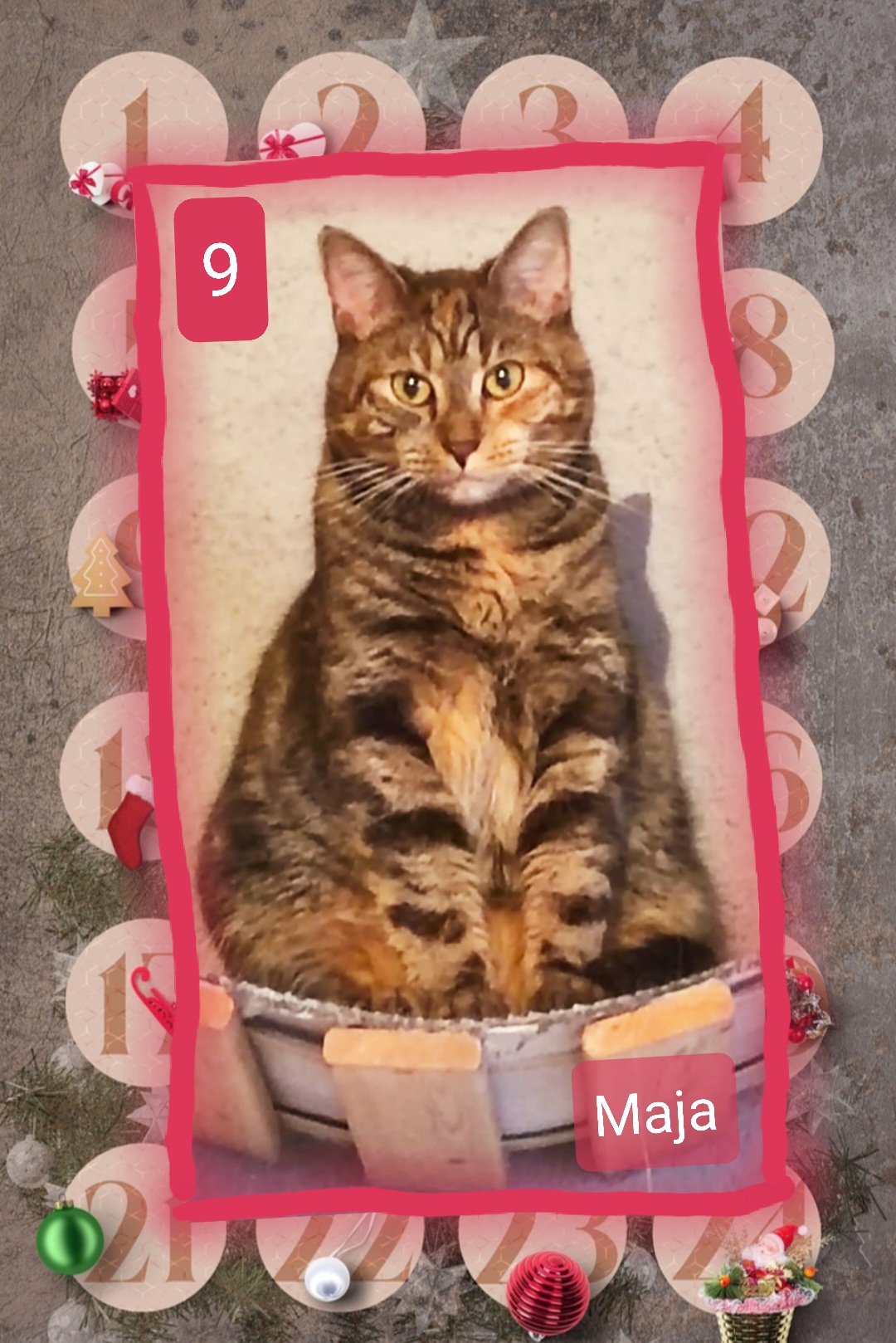 ⭐ 9. Maja