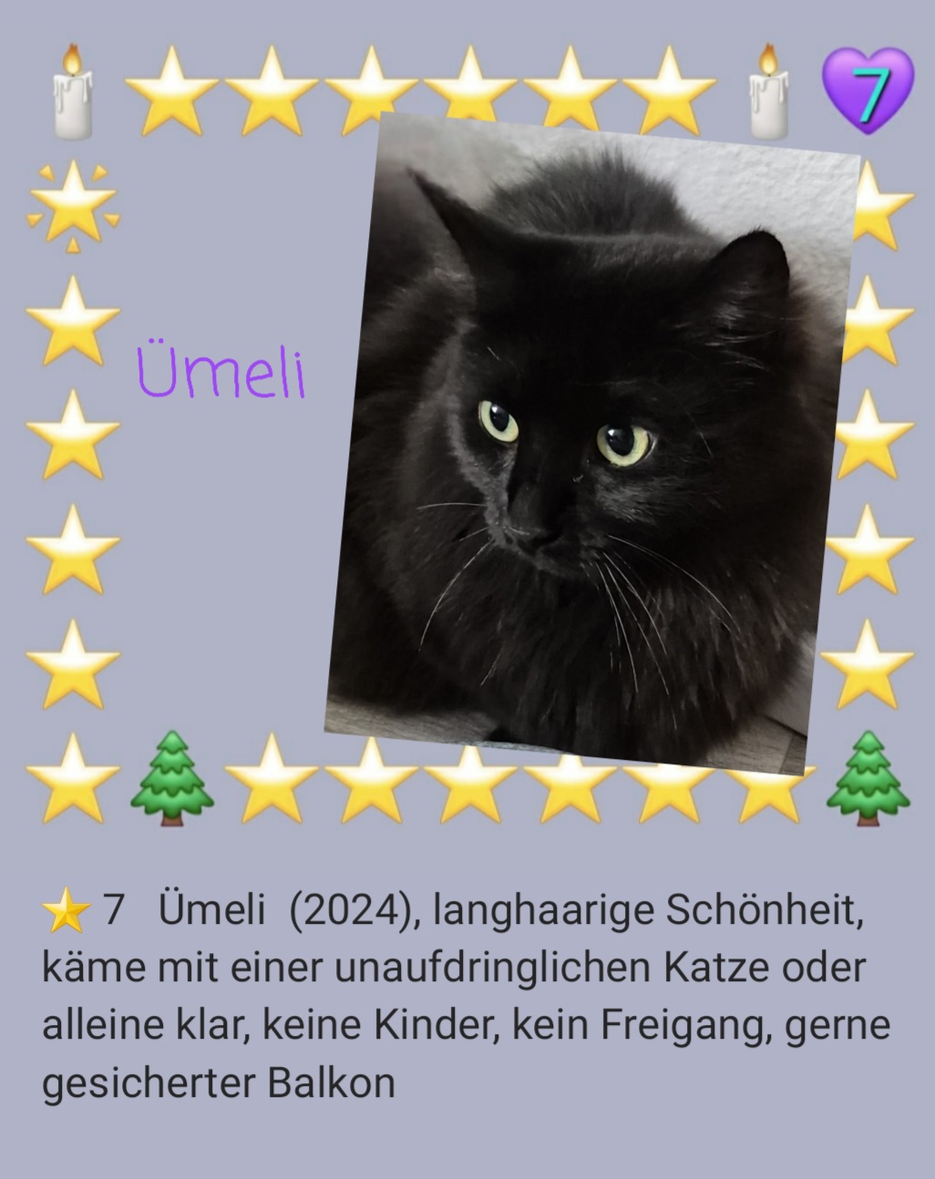 VERMITTELT