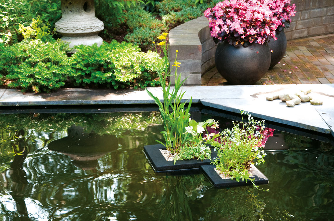 Koi Dome, EyeCatcher & Beleuchtung teich24.eu Alles rund um den