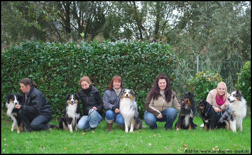 Welpentreffen 17. Oktober 2010