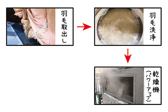 羽毛の直接洗浄型チャート図