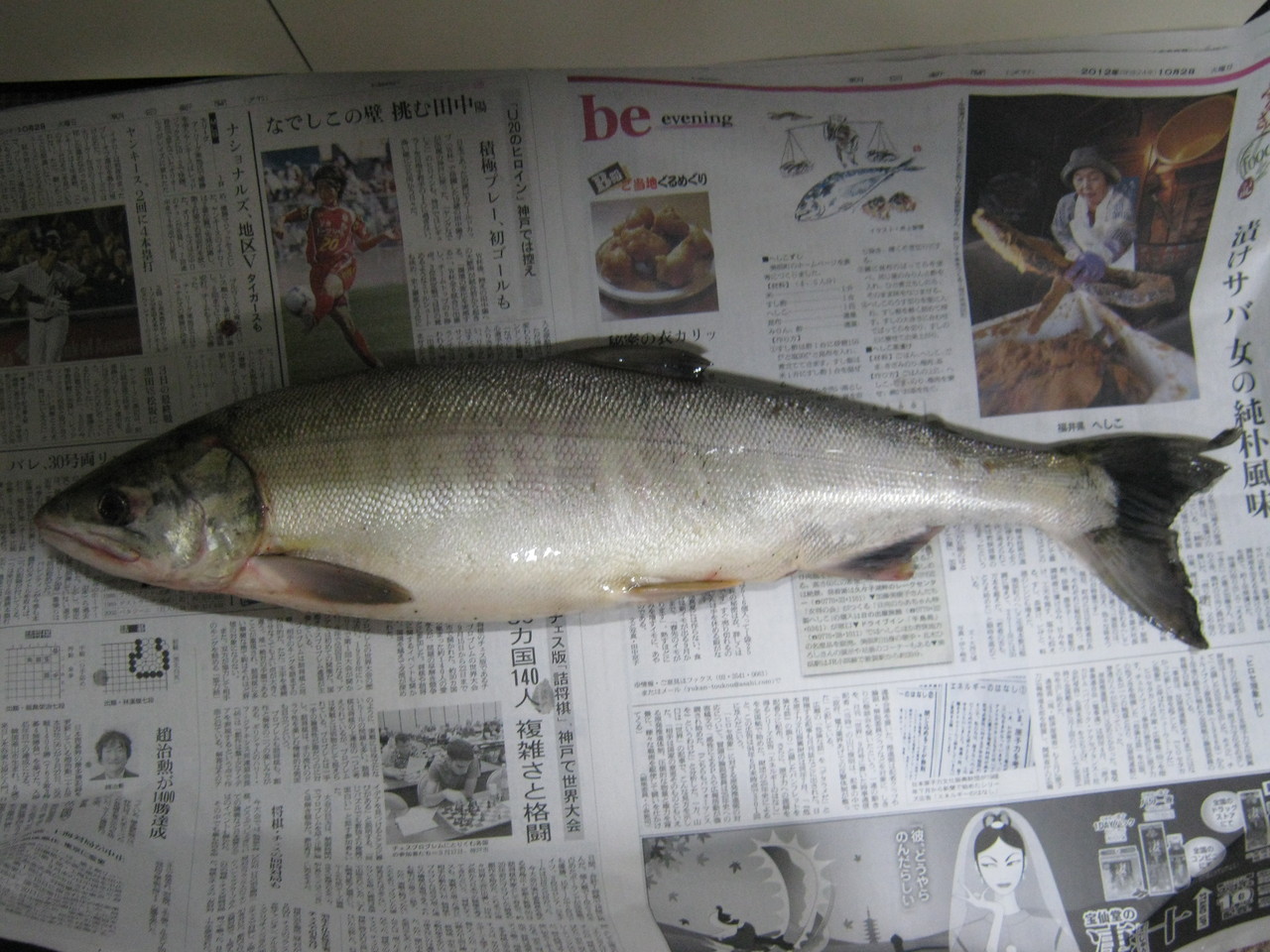 2012年 徹釣の隠し部屋 2012年 徹釣の隠し部屋