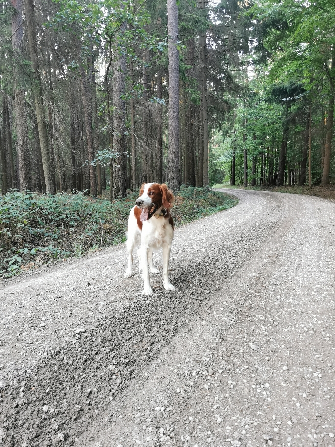 "immer seine Mama Abby im Blick behalten..."