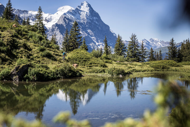 Grindelwald - Grosse Scheidegg