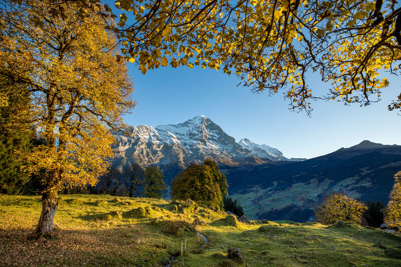 Grindelwald im Herbst