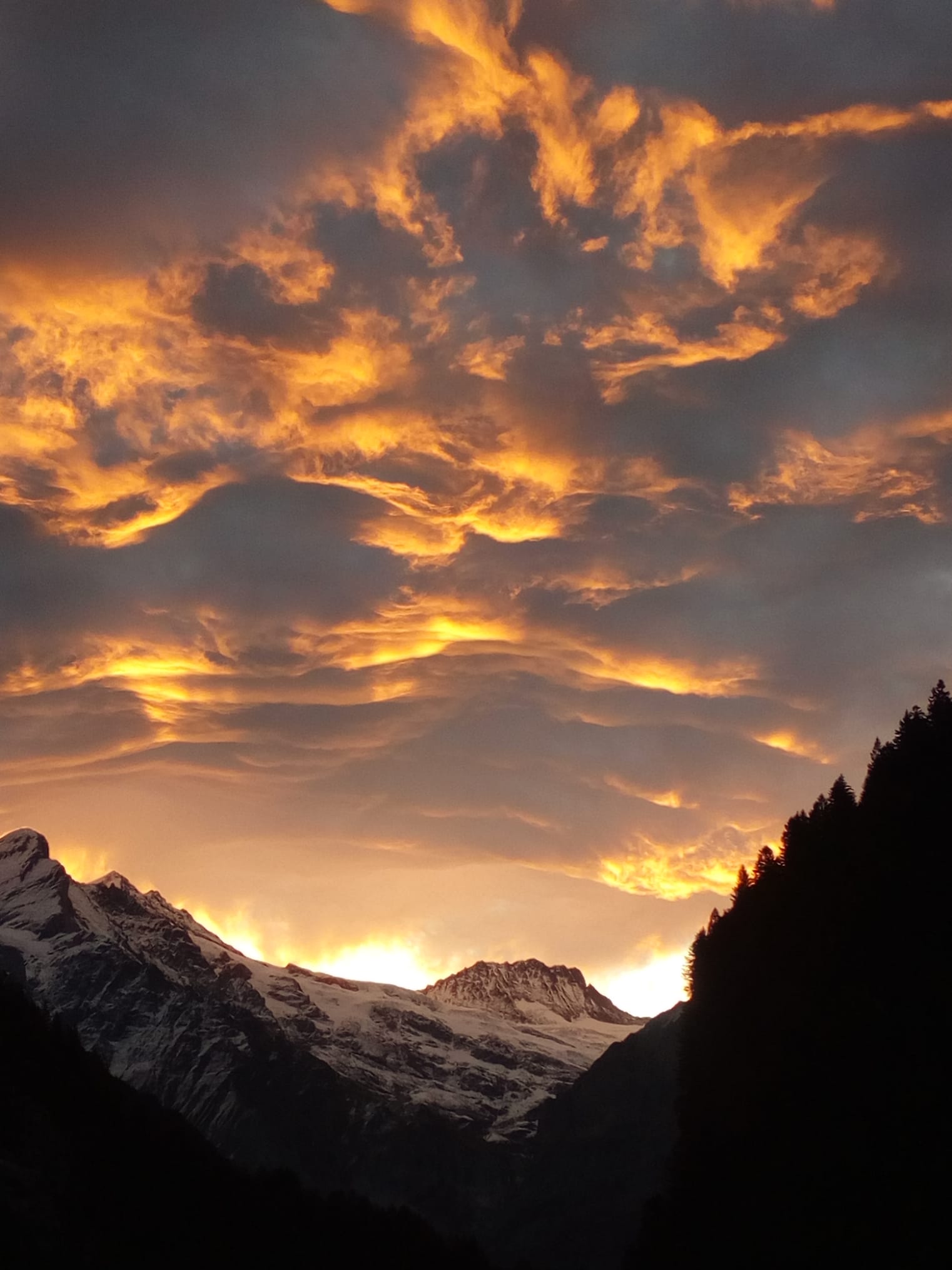 Morgenstimmung - 4. Okt. 2019 - Bild von Ursi Amacher