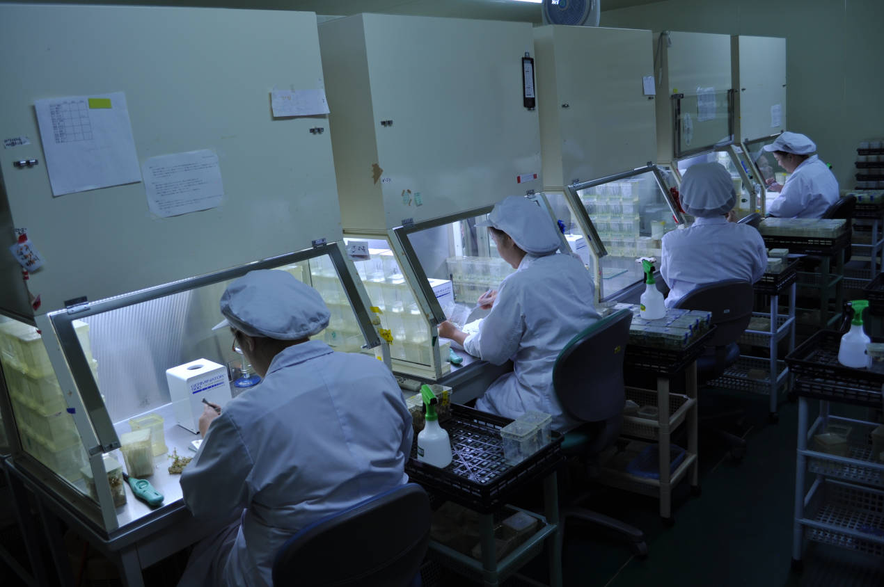 三和ベルディ株式会社