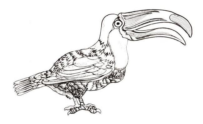 12 gravures originales de Marine Rivoal en écho aux inspirations du Faune