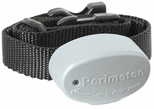 IF Receivers Dog Fence Guy installs invisible type dog and pet