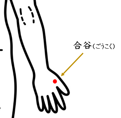 便秘・鍼灸師が自分で治すセルフケアを紹介。ツボ・経穴・合谷・手陽明大腸経・自律神経・東洋医学・経絡・セルフケア・自律神経失調症・ホルモンバランス頭痛