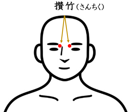 目の疲れ・眼精疲労・鍼灸師がおススメする自分で出来るセルフケアを紹介・攅竹・ツボ・経穴・東洋医学・鍼灸・漢方・漢方薬